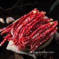 Long -Dry Redchilies para condimentos de alimentos Guihzou Chilies